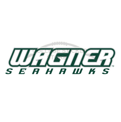 Diy Wagner Seahawks Iron-on Transfers (Wall Stickers)NO.6870